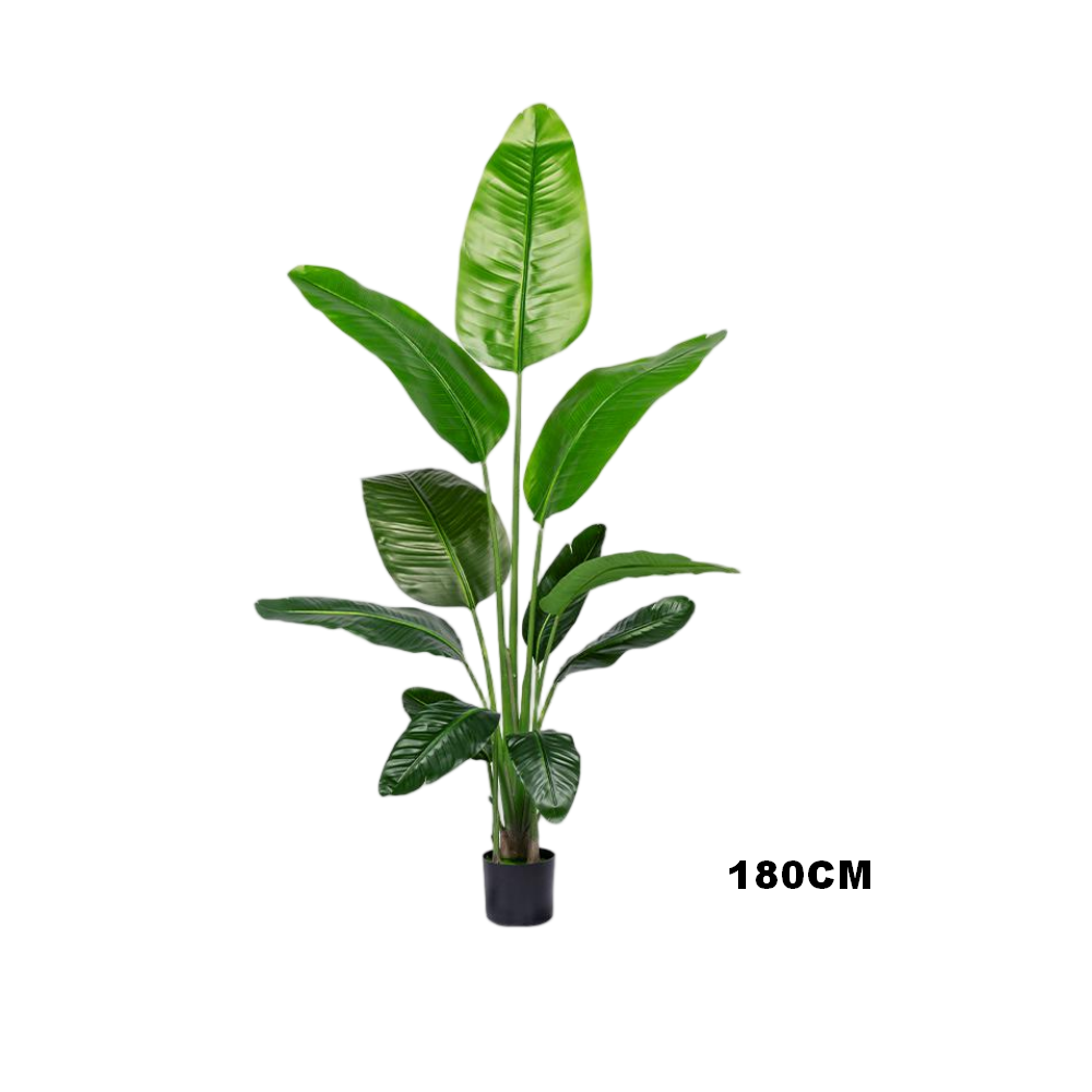 Artificial Traveler’s Palm(2.0)